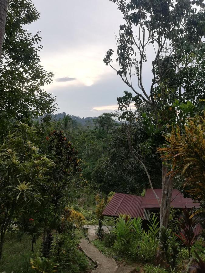 קואלה טהאן Durian Chalet מראה חיצוני תמונה