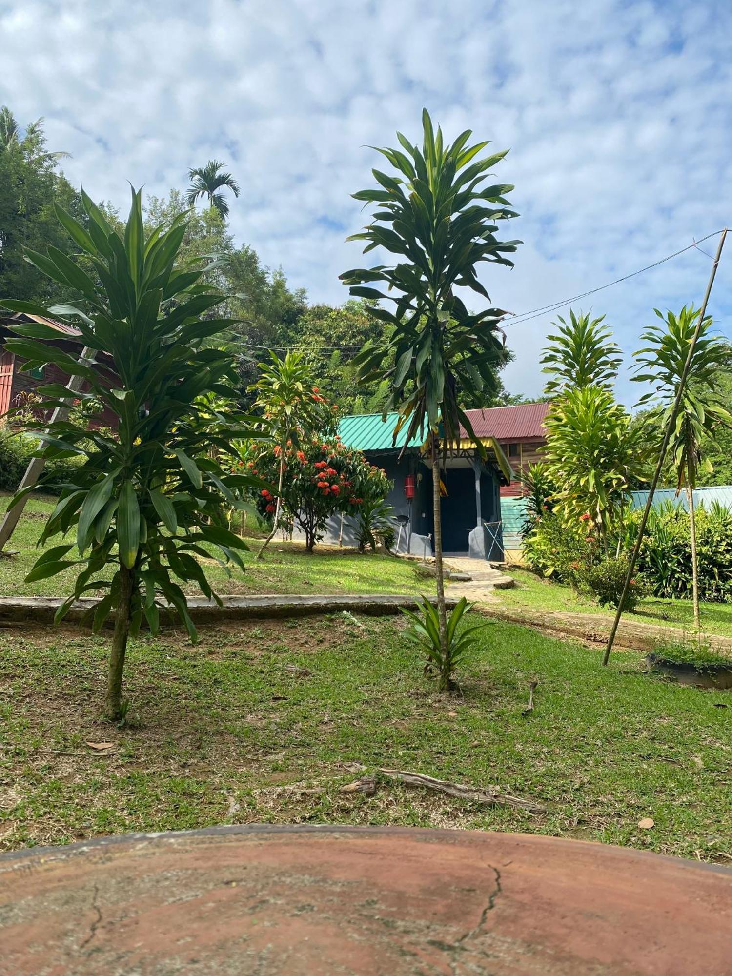 קואלה טהאן Durian Chalet מראה חיצוני תמונה